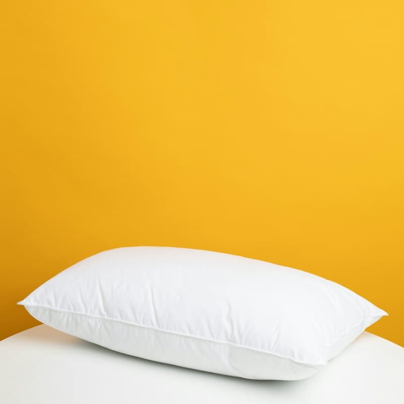 Feather Down Throw Pillow